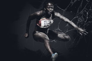 世界网球美网公开赛中国小将表现不俗，美网 网球公开赛